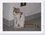 aaaa 002 * 2592 x 1944 * (1.2MB)